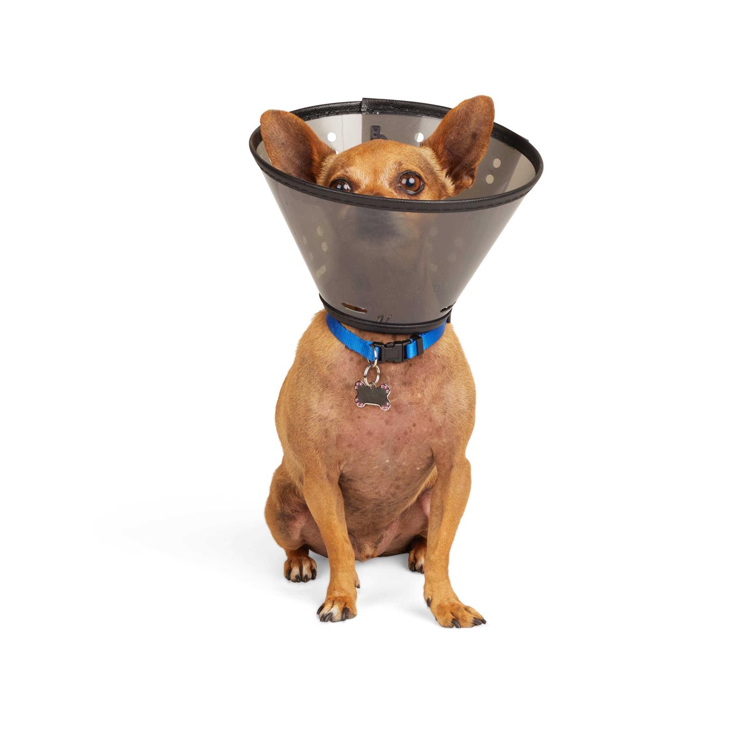 Alternative view of Well & Good Recovery Cone Collar