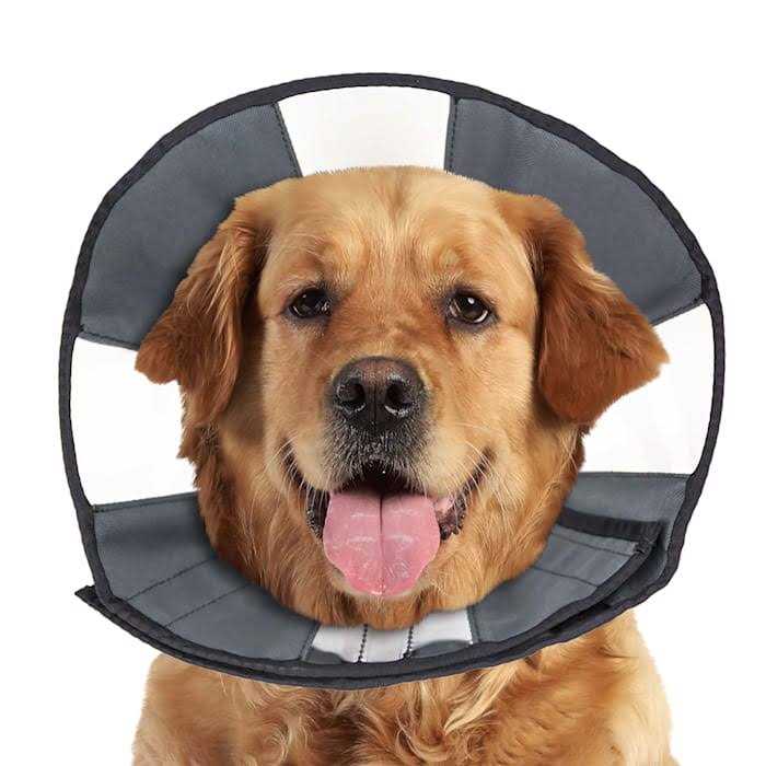 ZenPet Zen Cone Soft Recovery Collar