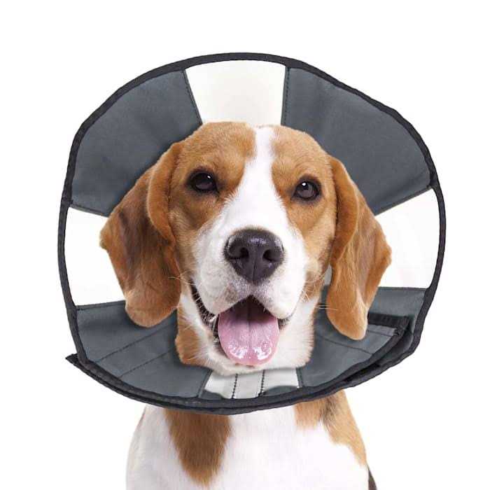 ZenPet Zen Cone Soft Recovery Collar