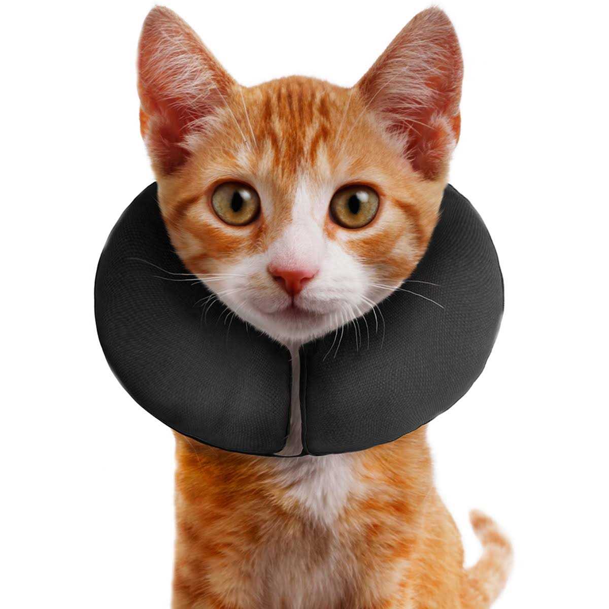 ZenPet Inflatable Recovery Collar