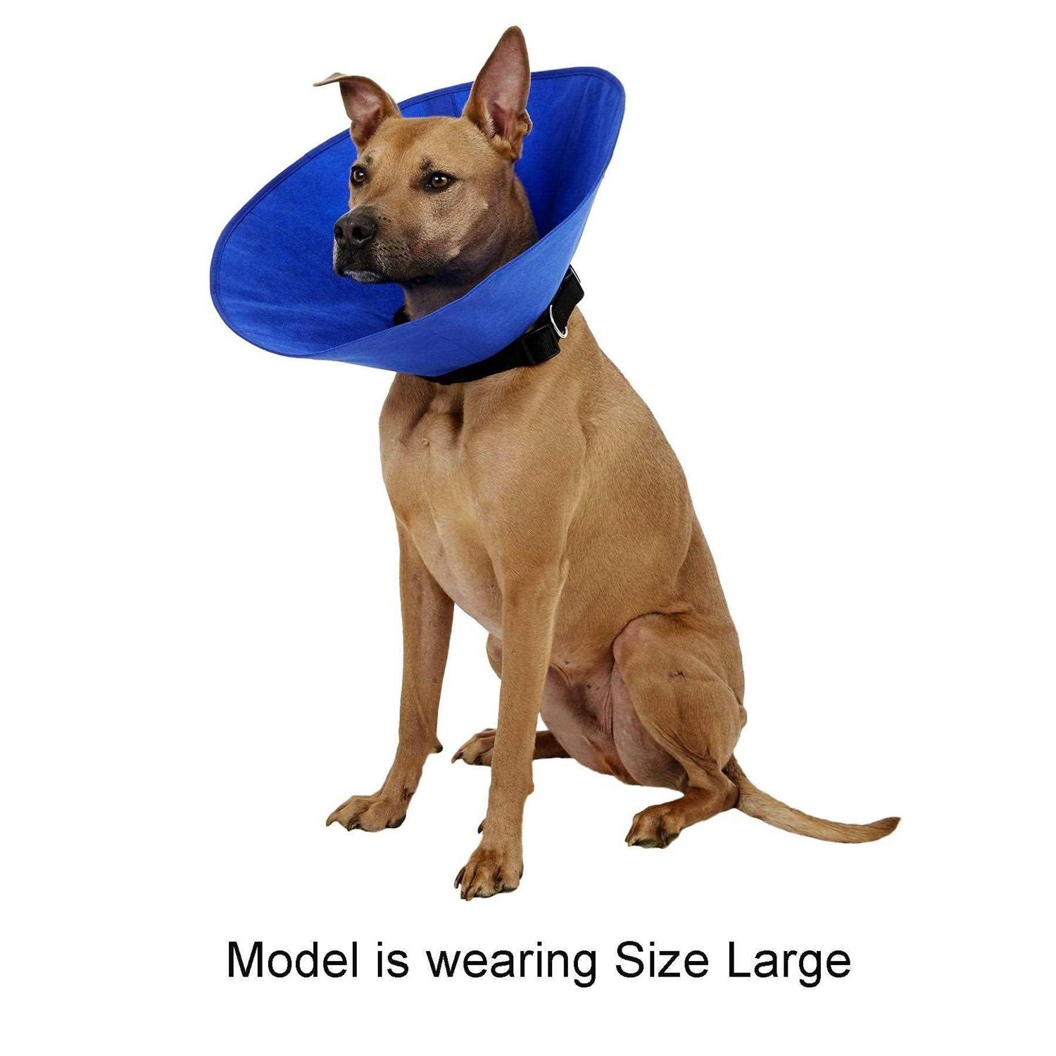 Alfie Pet Recovery Collar
