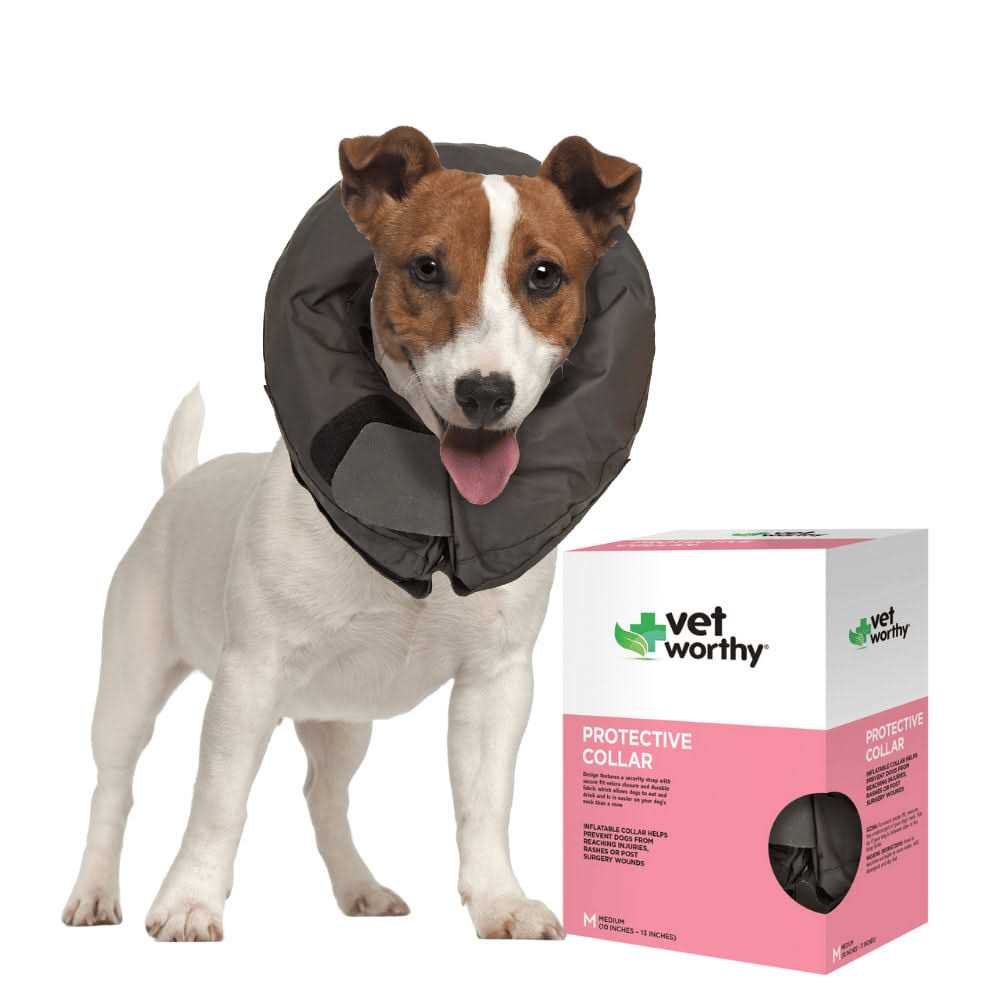 Vet Worthy Inflatable Protective Dog Collar