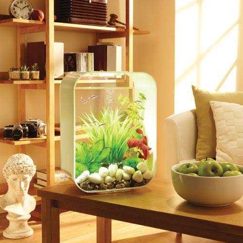 Alternative view of biOrb LIFE 15 Aquarium with Standard Light