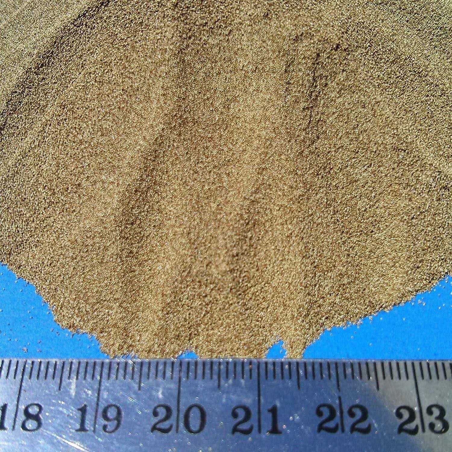 Alternative view of Aquatic Foods Inc Brine Shrimp Eggs 90% Hatch