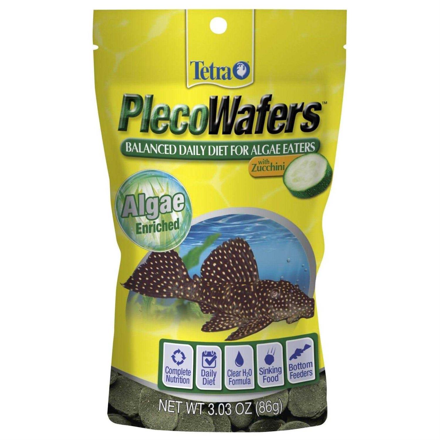 Tetra Algae Eaters
