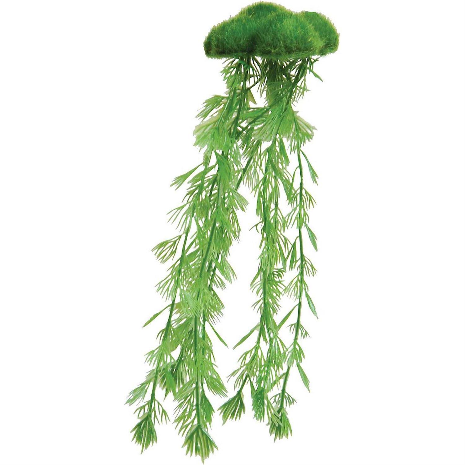 Underwater Treasures Floating Moss with Roots