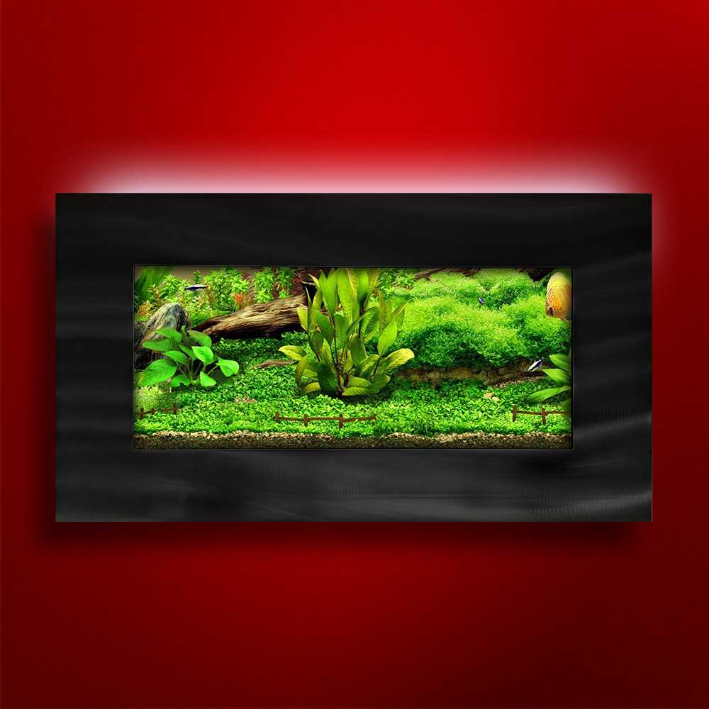 Aussie Aquariums 2.0 Wall Mounted Aquarium - View Brushed Black, Size: Up to 10 Gallons