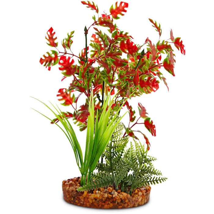 Imagitarium Pacifica Red & Green Plant