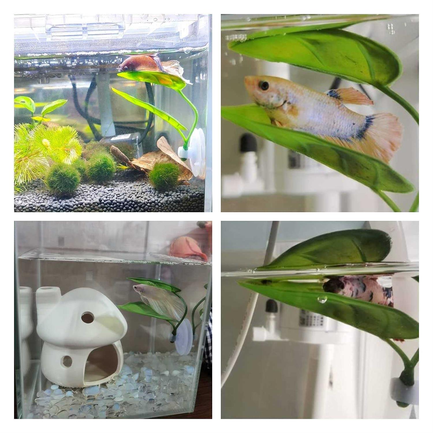 Alternative view of Betta Fish Leaf Pad Simulating The Natural Habitat for Betta Spawning Grounds Breeding Resting Bed Plastic Suction Cup