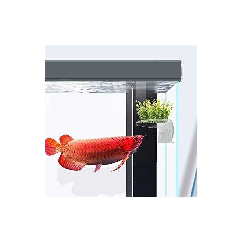 Alternative view of 2Pack Aquarium Shelf,Transparent Acrylic Ledge Plants Holder for Substrate and Live Plants,with Strong Suction Cups for Fish Tank Multi-Layer