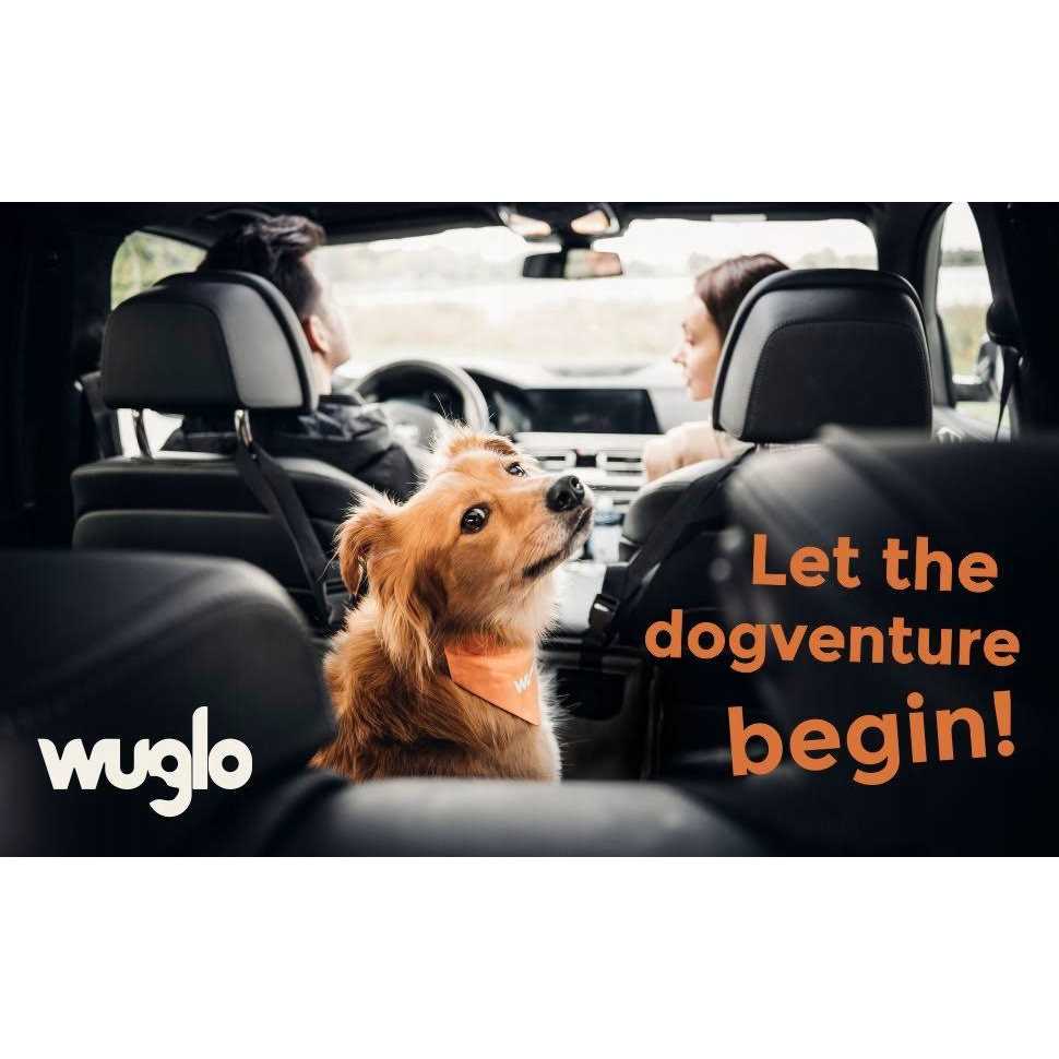 Alternative view of Wuglo Extra Stable Dog car Seat Reinforced car Dog Seat for Medium-Sized Dogs with 4 Fastening Straps