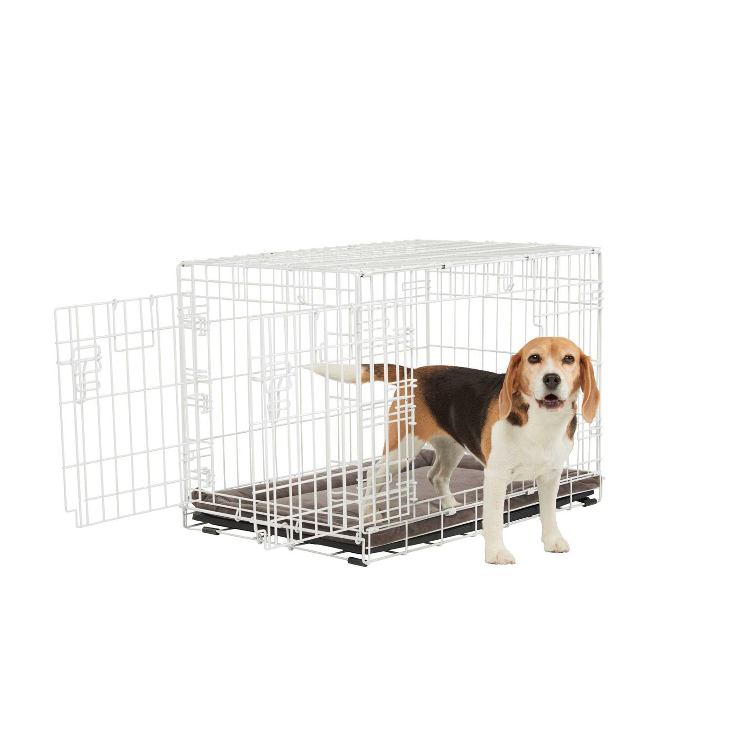 EveryYay White 2-Door Dog Crate H
