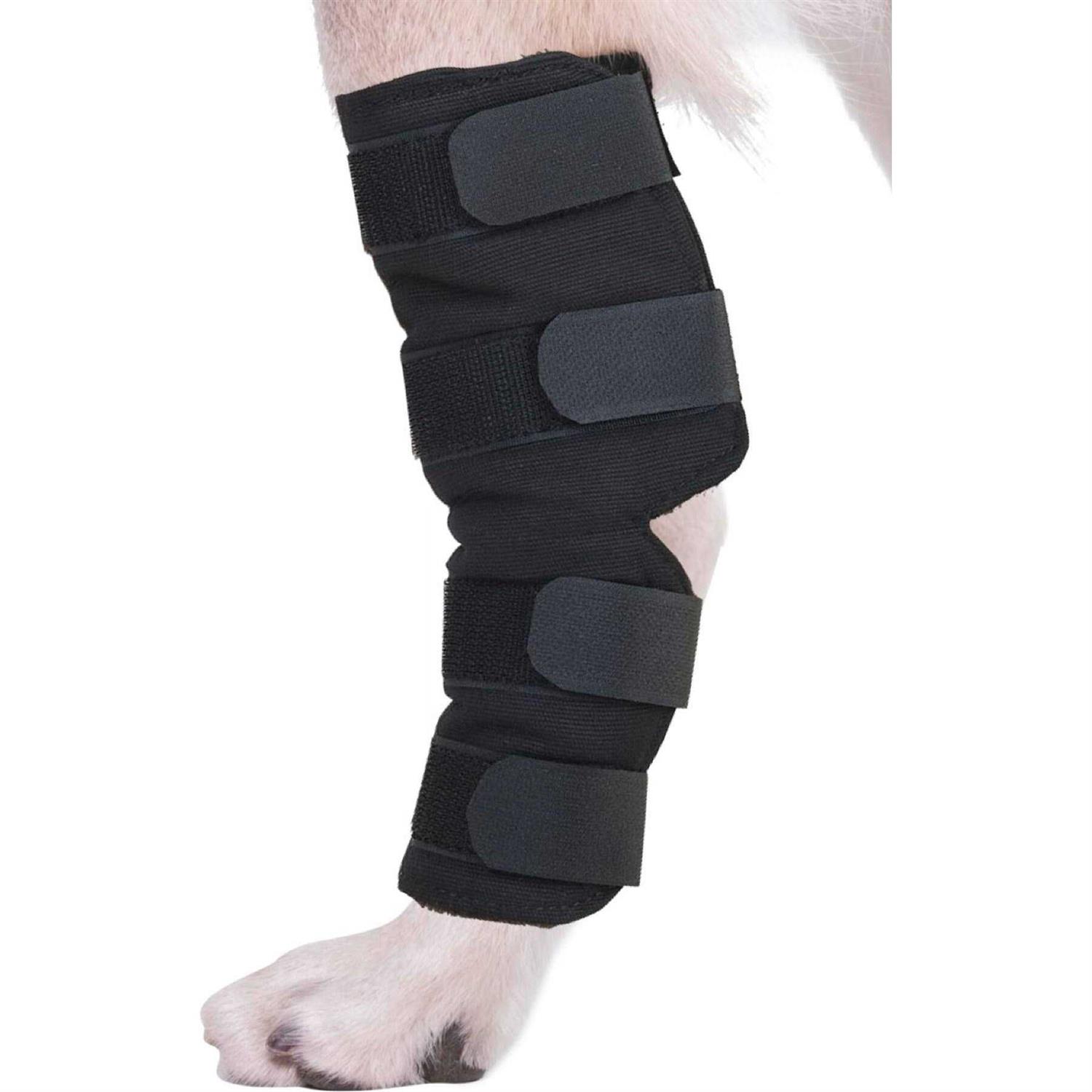 Agon canine Dog Hock Brace Rear Leg Joint Wrap Protects Wounds as They Heal, compression Wrap, Heals and Prevents Injuries and Sprains Helps
