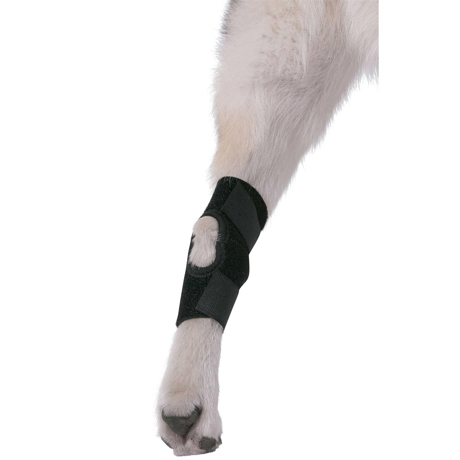 Alternative view of Agon Dog Canine Rear Hock Joint Brace Compression Wrap With Straps Dog For Back Leg Protects Wounds. Heals Prevents Injuries and Sprains Helps