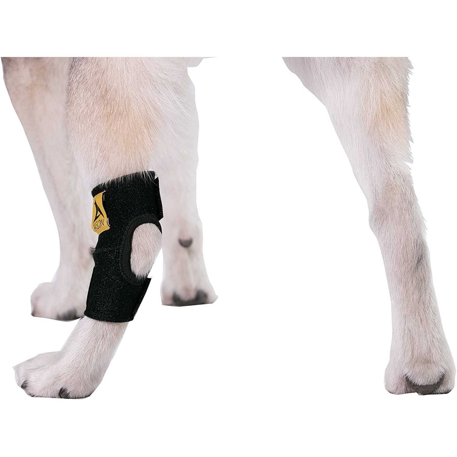 Alternative view of Agon Dog Canine Rear Hock Joint Brace Compression Wrap With Straps Dog For Back Leg Protects Wounds. Heals Prevents Injuries and Sprains Helps