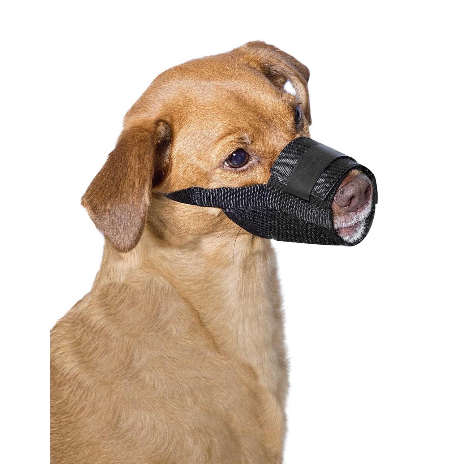 PetSafe Dog Muzzle