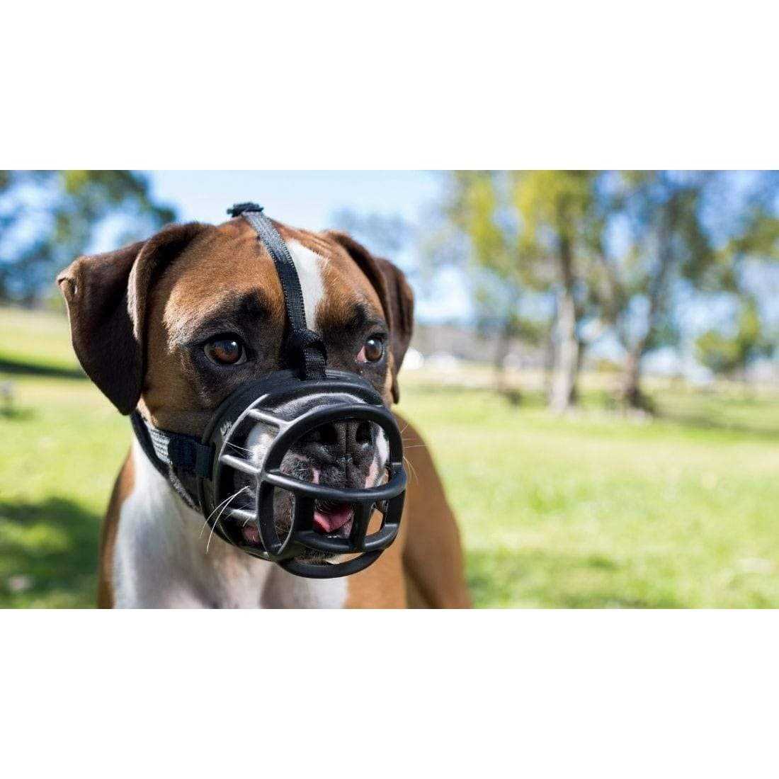 Alternative view of Baskerville Dog Ultra Muzzle