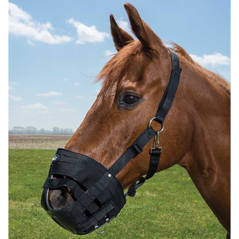 Tough 1 Easy Breathe Poly Grazing Muzzle