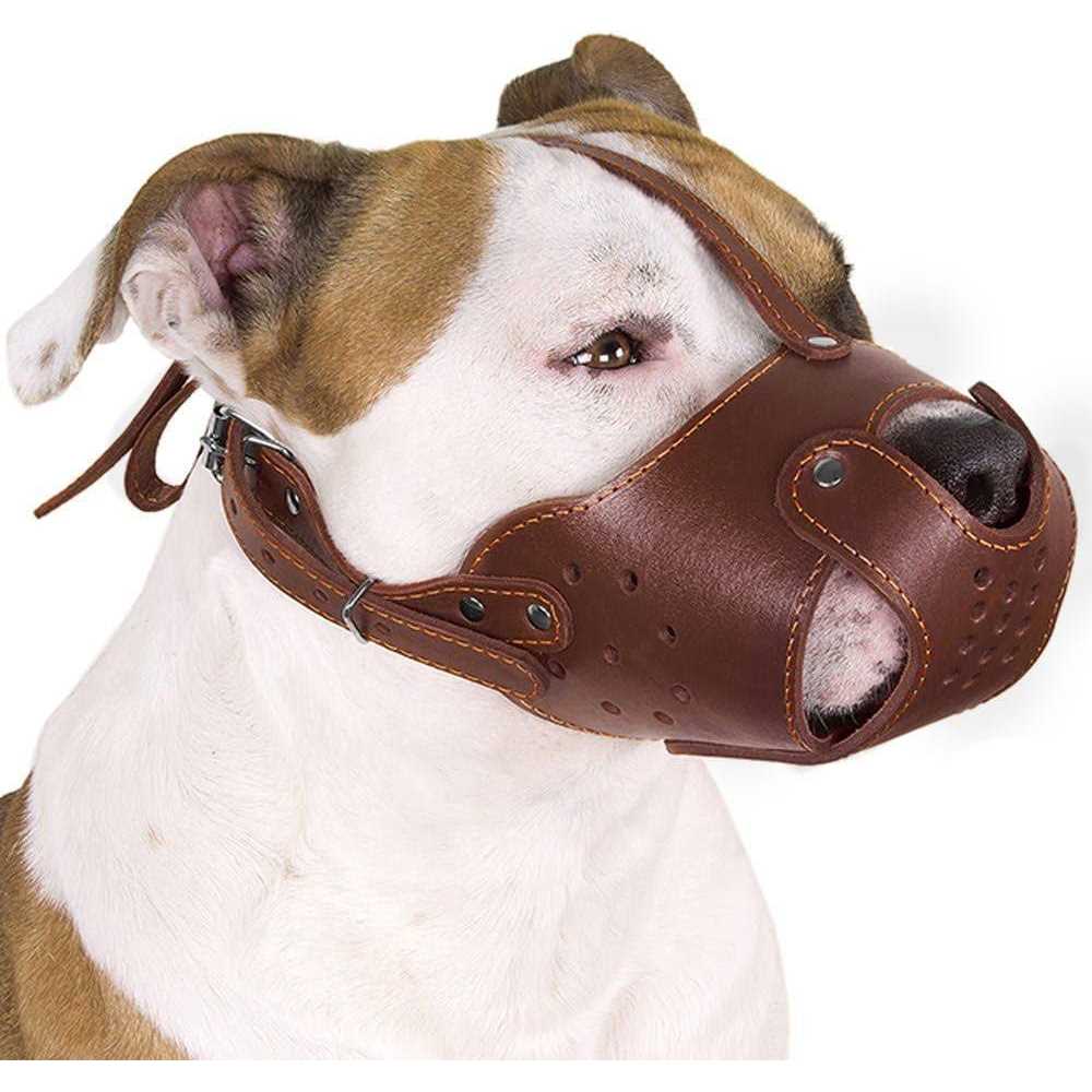 CollarDirect Dog Muzzle Pitbull Amstaff Basket Genuine Leather Staffordshire Terrier