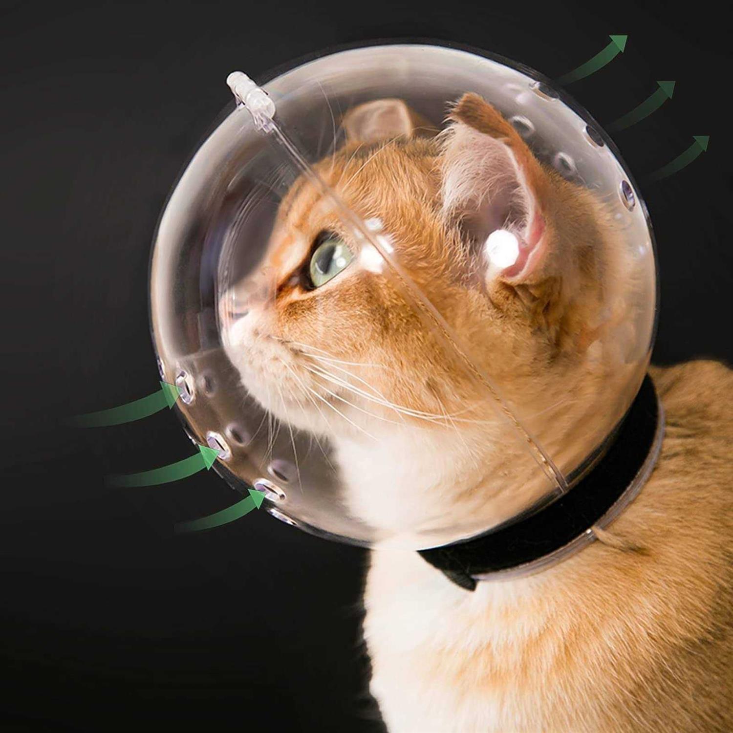 Hoqqf Cat Muzzle Cat Transparent Muzzle M Size Breathable Cat Hood