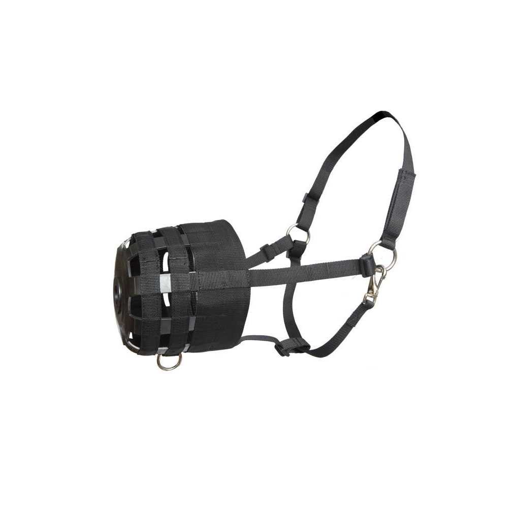 Economy Nylon Halter Grazing Muzzle