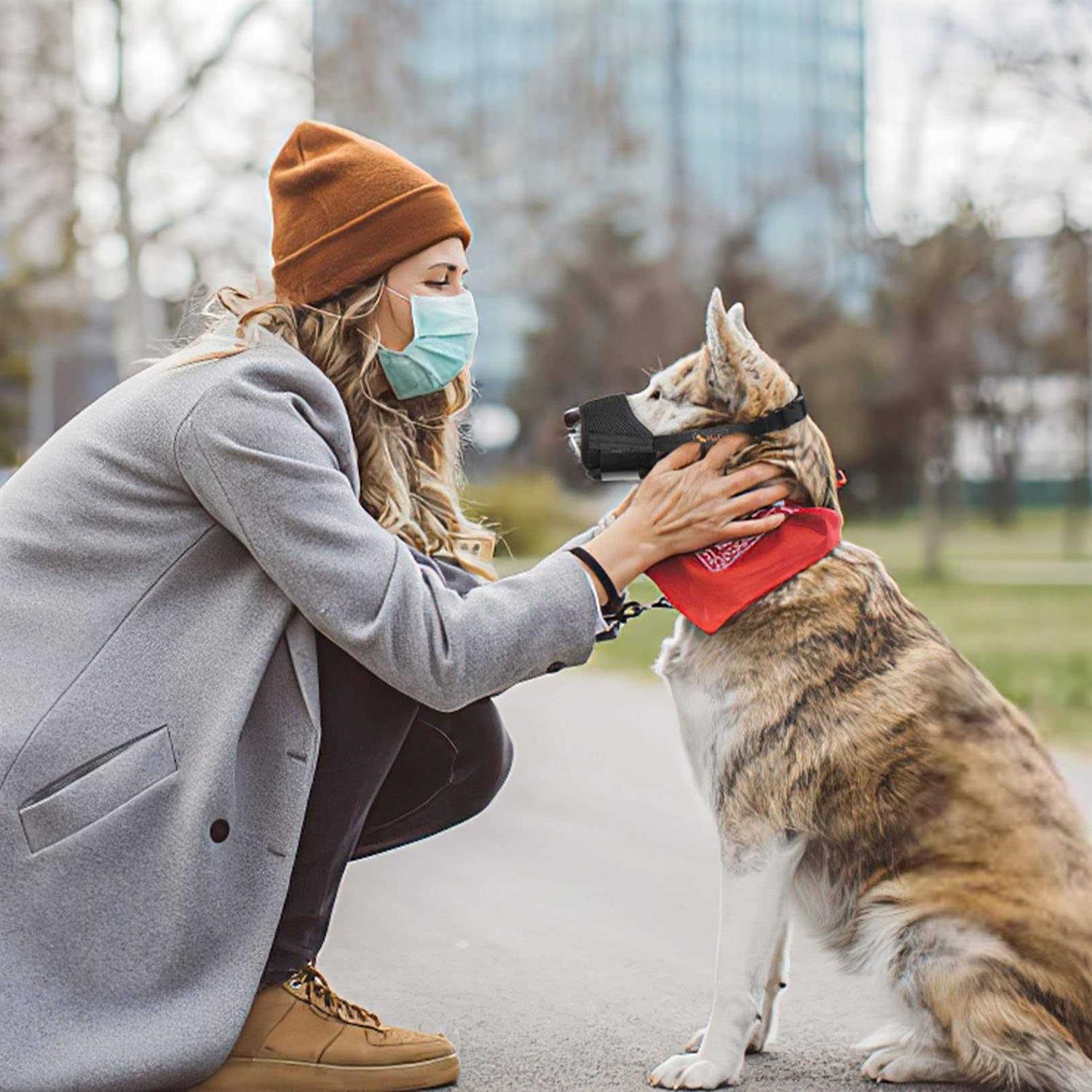Alternative view of HEELE Dog Muzzle,Soft Nylon Muzzle Anti Biting Barking Chewing,Air Mesh Breathable Drinkable Adjustable Loop Pets Muzzle for Small Medium Large Dogs