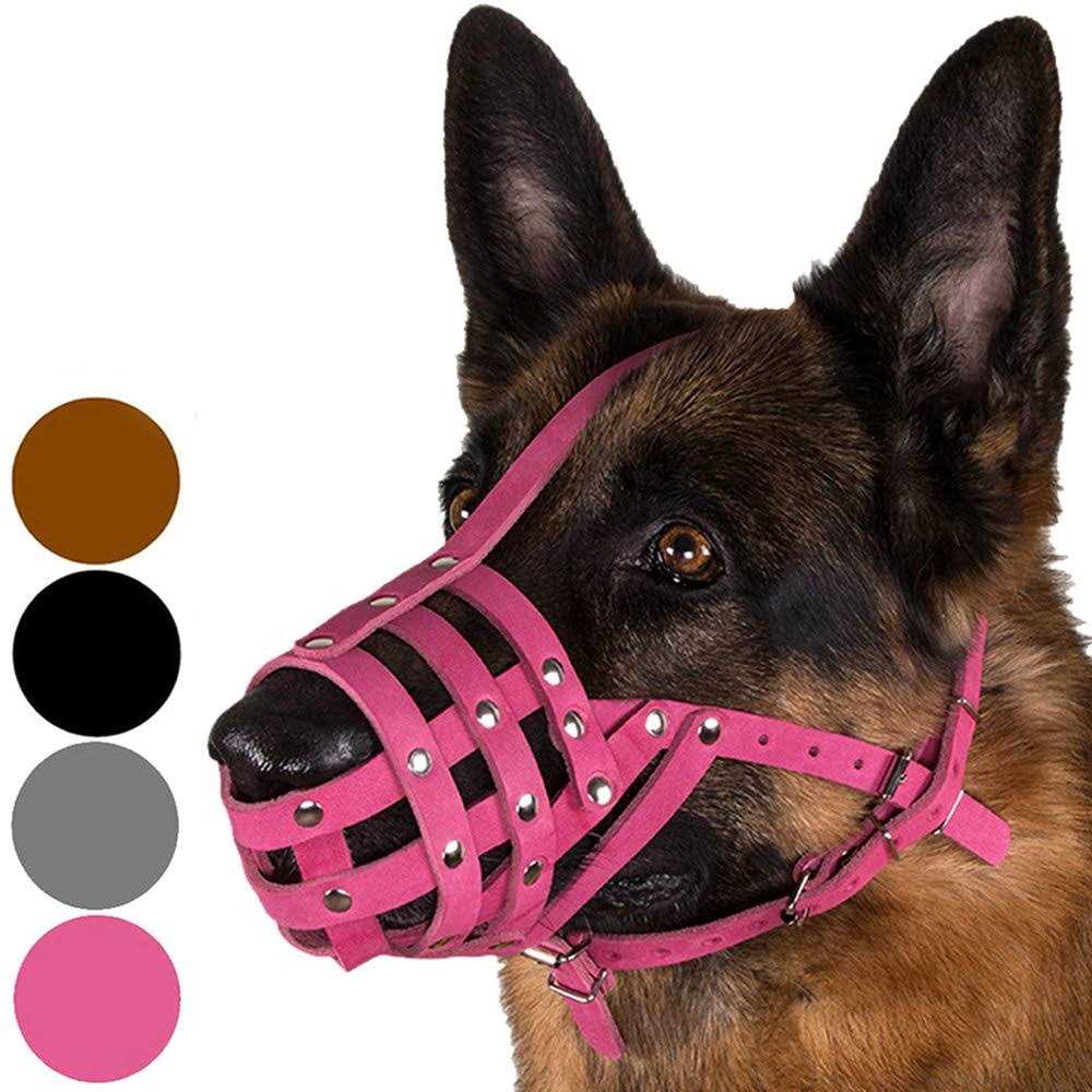 CollarDirect Dog Muzzle German Shepherd Dalmatian Doberman Setter Leather Basket Medium Large Breeds
