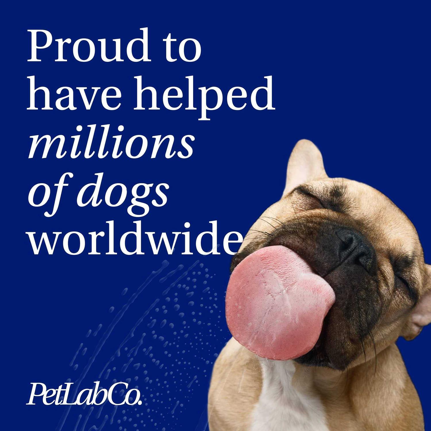 Alternative view of PetLab Co. ProBright Dog Dental Powder Dogs