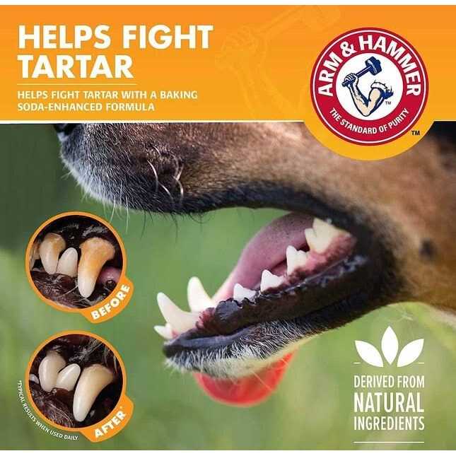 Alternative view of Arm & Hammer Flavorless Dental Rinse for Adult Dogs