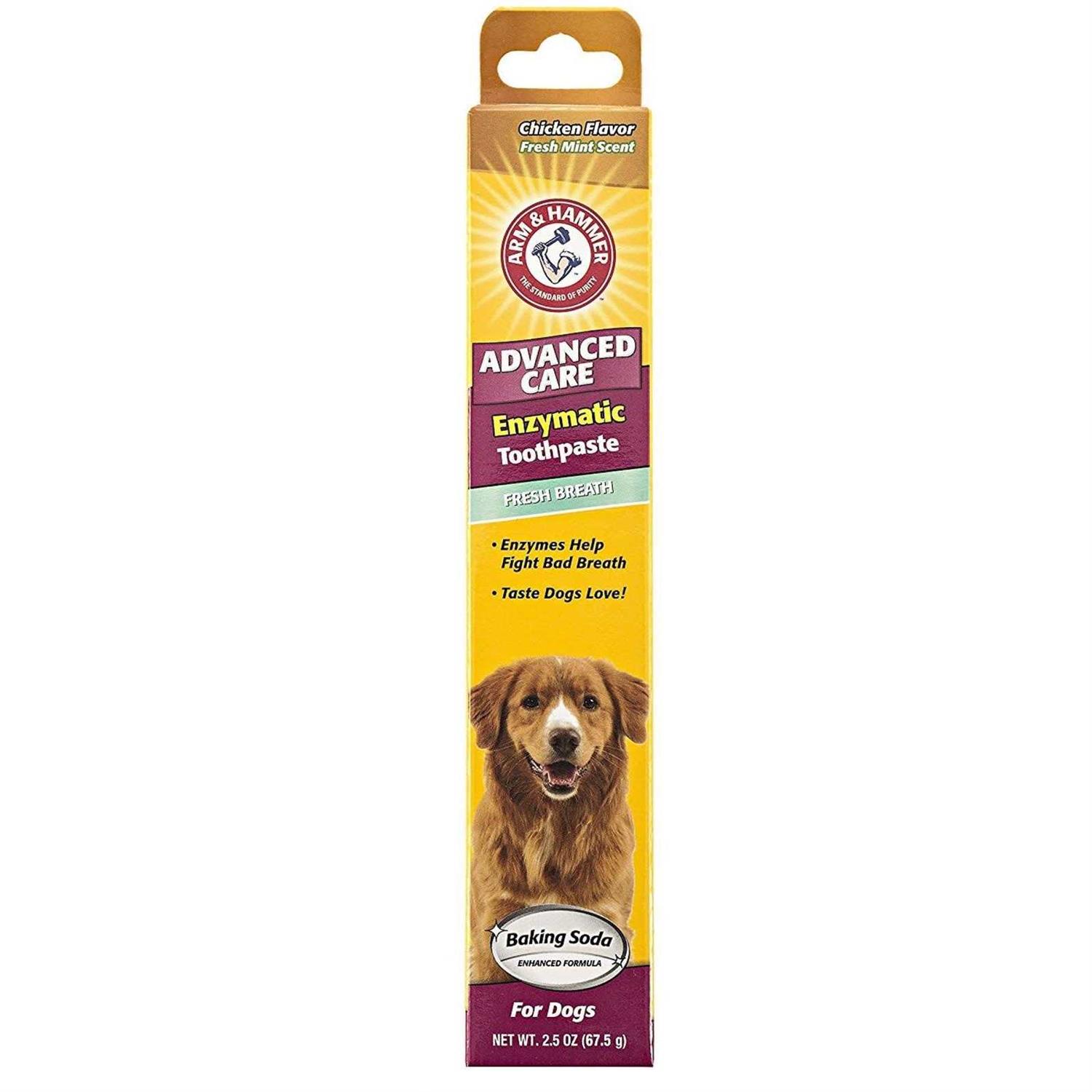 Arm & Hammer Dental Fresh Breath Enzymatic Toothpaste for Dogs