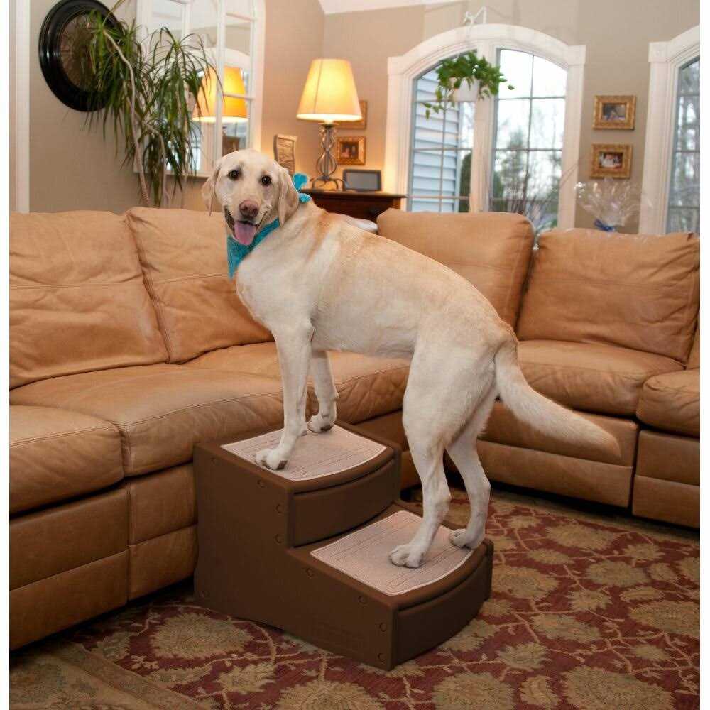 Pet Gear Easy Step II Stairs
