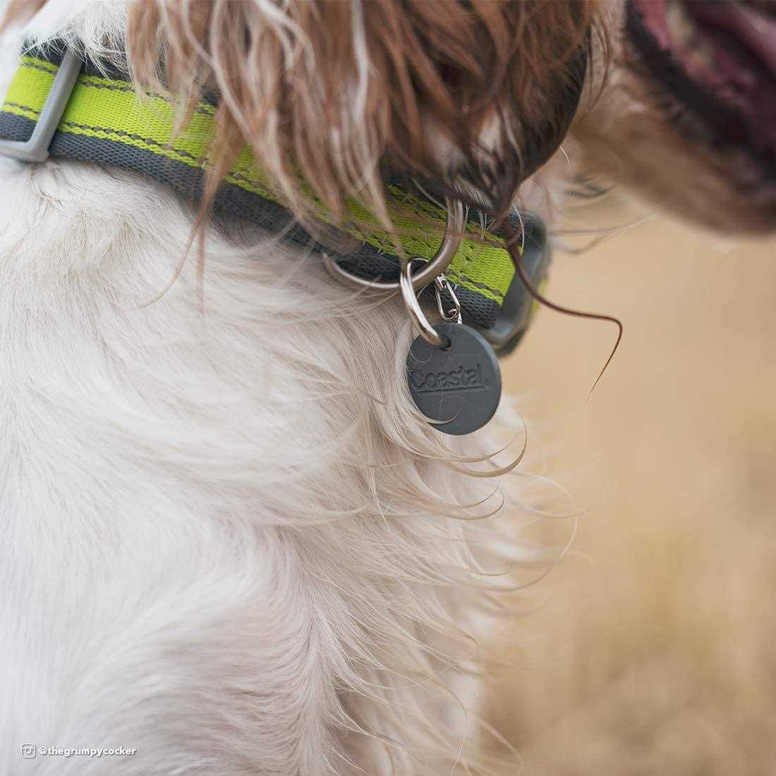 Alternative view of Coastal EZ Change Dog ID Clip