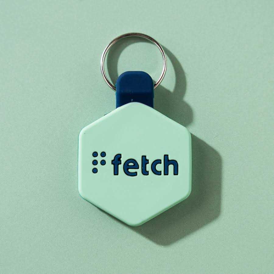 Lifekey Fetch Digital Pet ID Tag