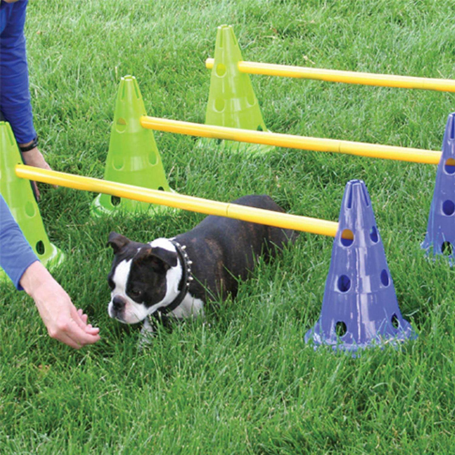 Alternative view of FitPAWS CanineGym Dog Agility Kit