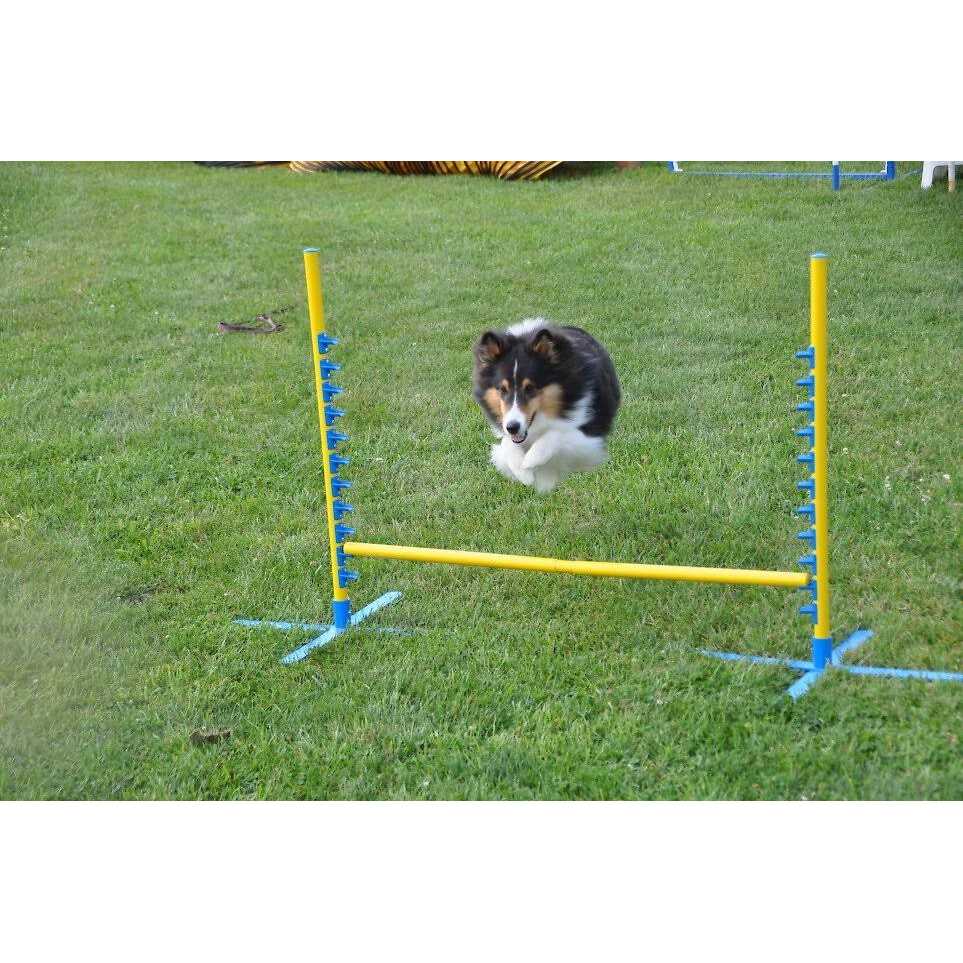 Alternative view of Cool Runners Agility PVA Dog Training Pedestal Jump