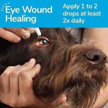 Alternative view of Oculenis Ocular Repair Gel for Dogs & Cats
