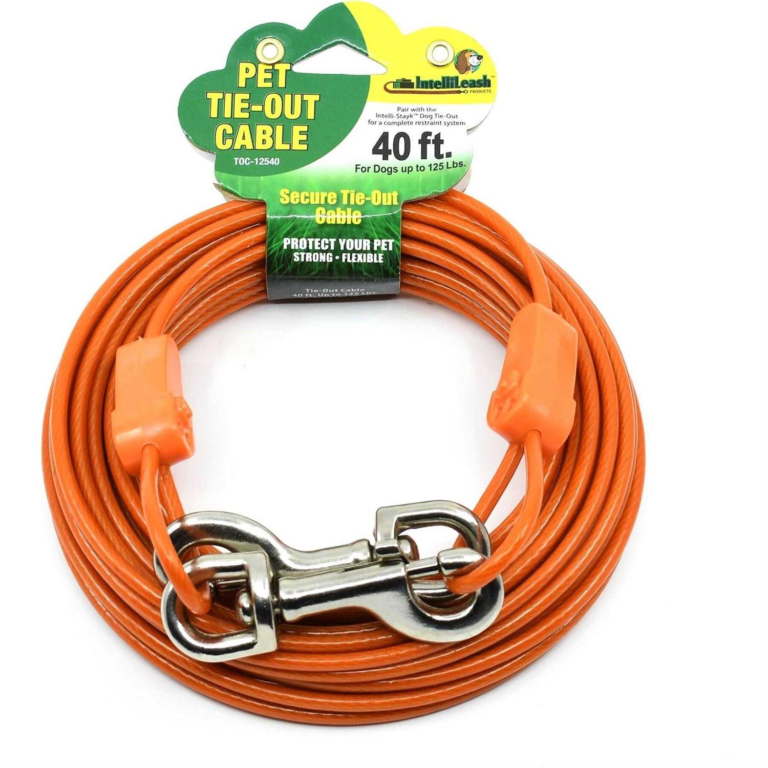 IntelliLeash Tie-Out Cables for Dogs Lengths up to 100 Feet and Breeds of Dogs up to 250 Pounds