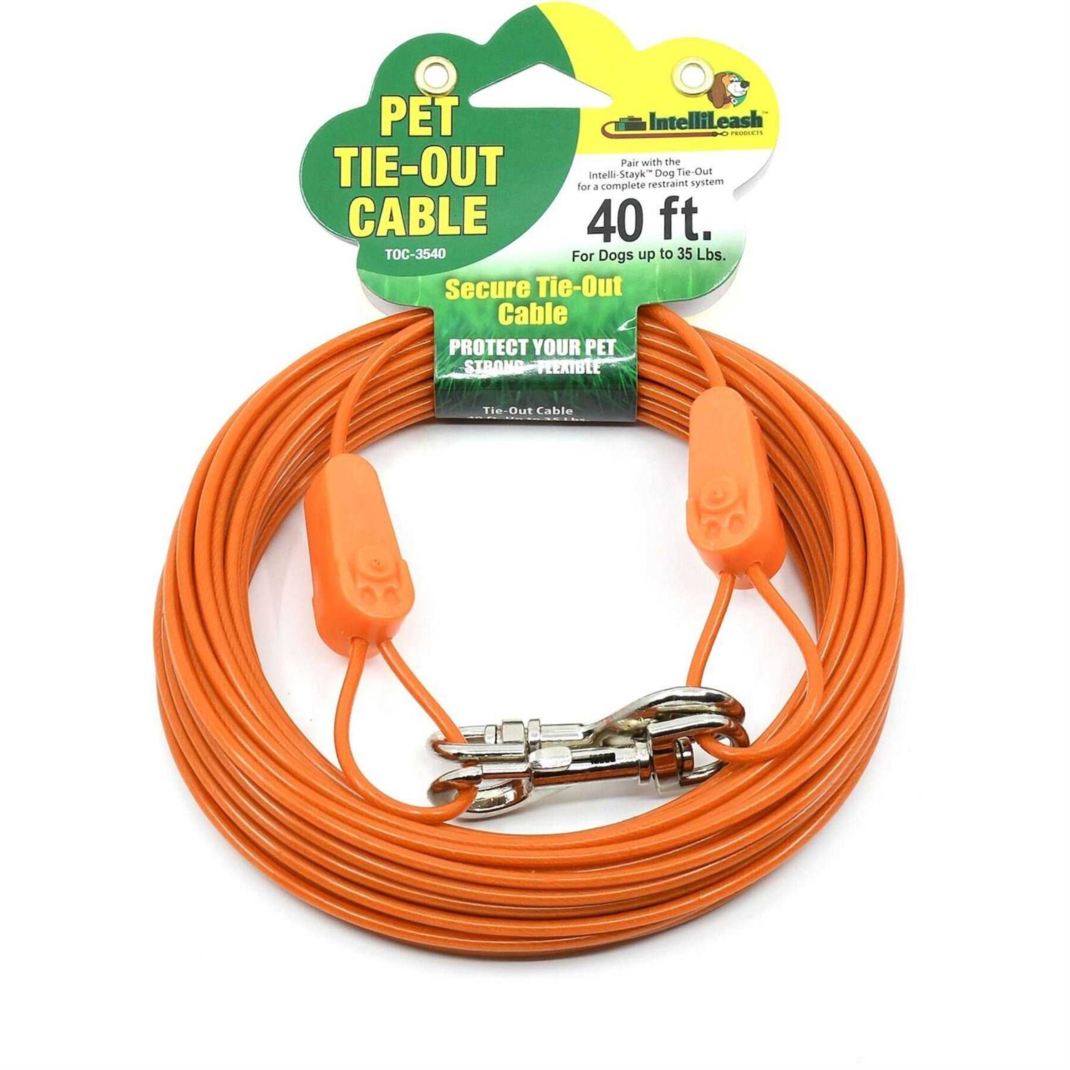 IntelliLeash Tie-Out Cables for Dogs Lengths up to 100 Feet and Breeds of Dogs up to 250 Pounds