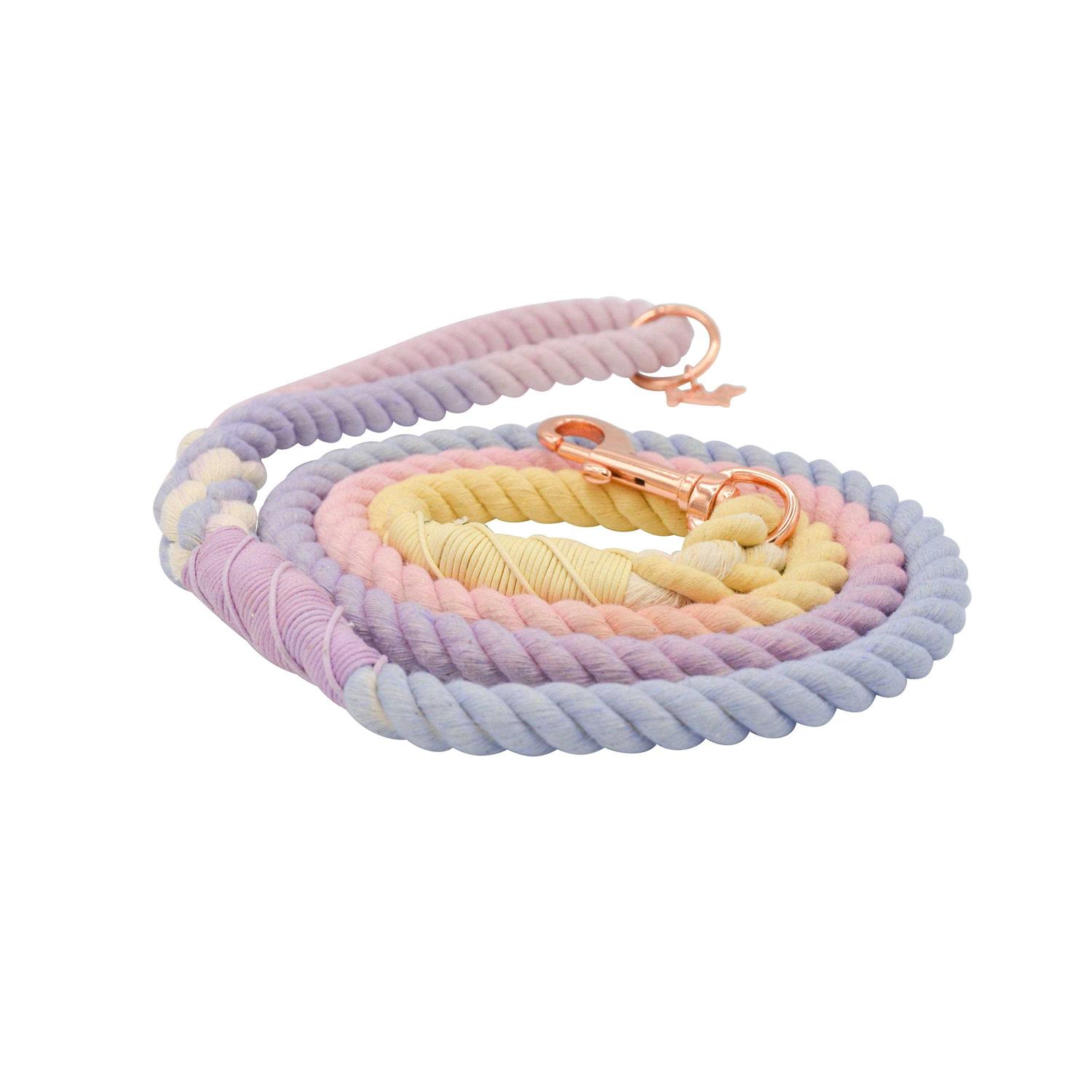Alternative view of Dog Rope Leash Sassy Woof