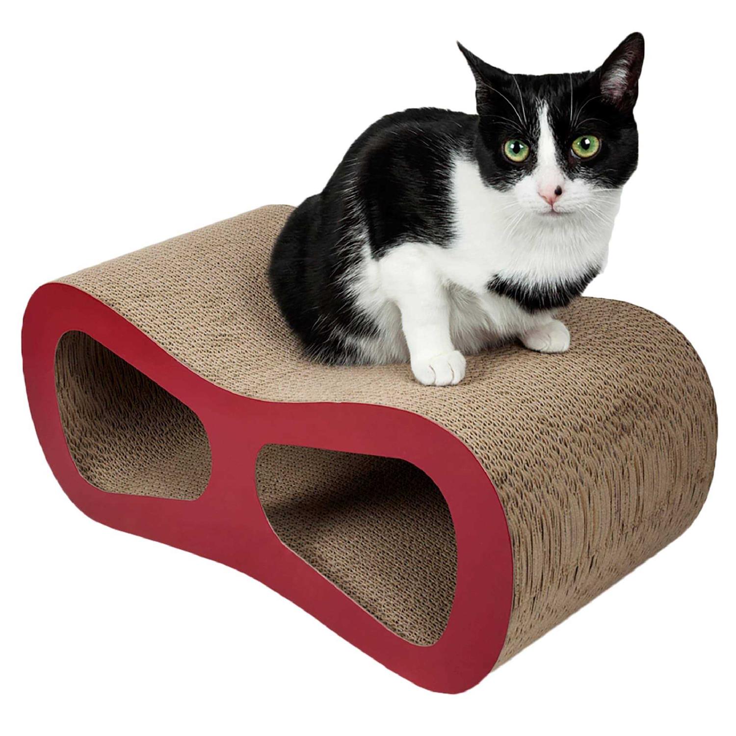 Alternative view of EveryYay Stretch Your Legs Canine Zipline 100' XL Dog Tie-Out Cable with Trolley | Petco