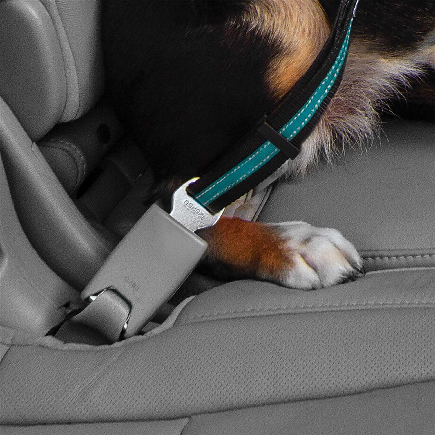 Alternative view of Kurgo Direct to Seatbelt Tether