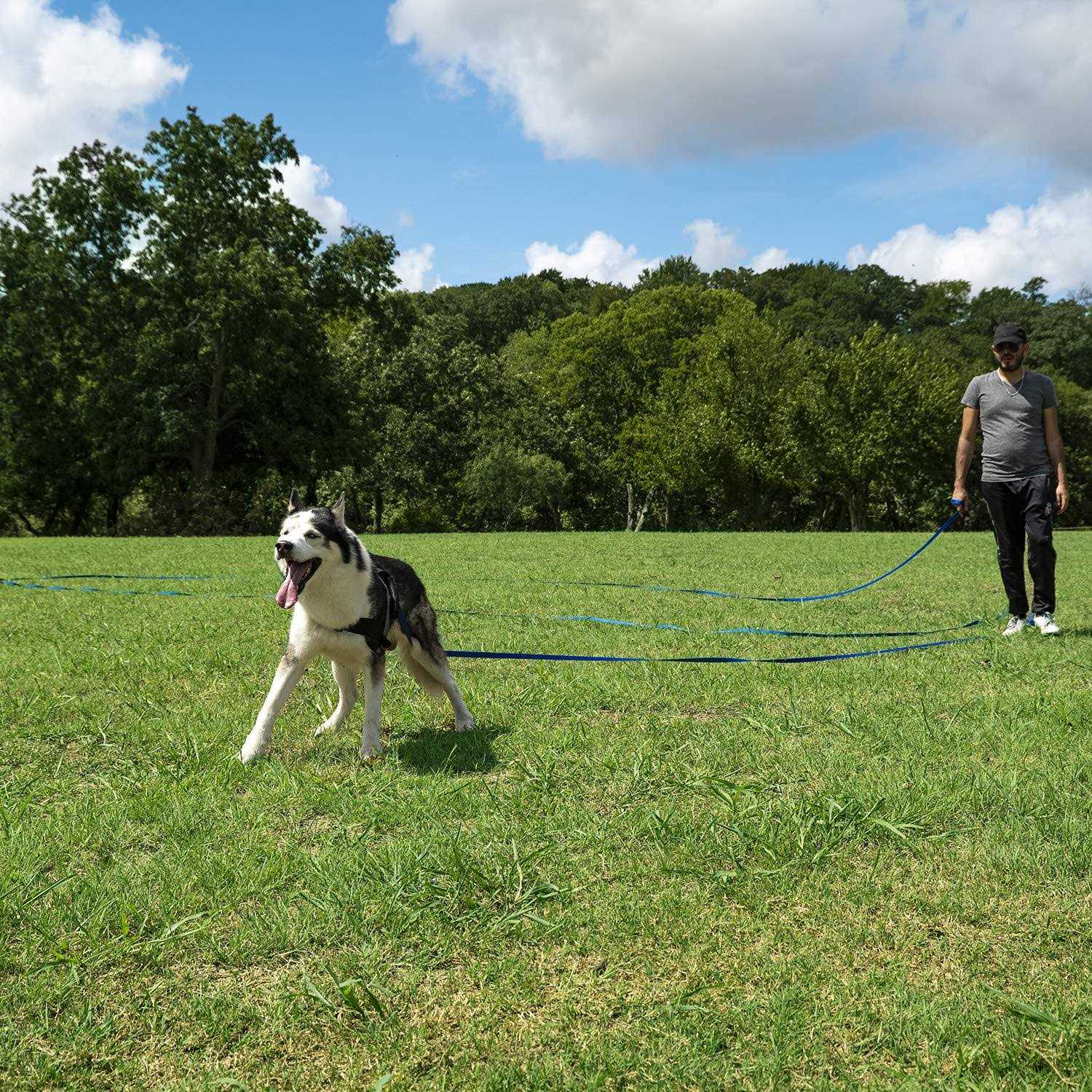 Alternative view of Hi Kiss Dog/Puppy Obedience Recall Training Agility Lead 15ft 20ft 30ft 50ft 100ft Leash Training
