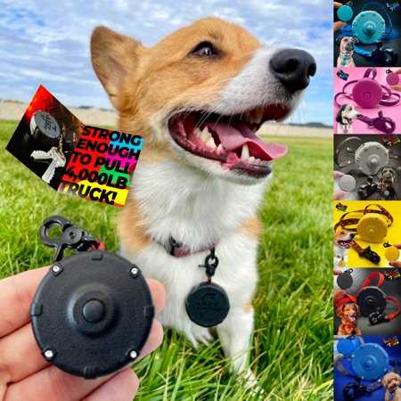 Jet Black + Free Lazy Leash! Mini Wearable Lightweight Power Lead for Adventure, Training, Fun & Control. 2 Retractable Clip-On Keychain Dog Leashes.