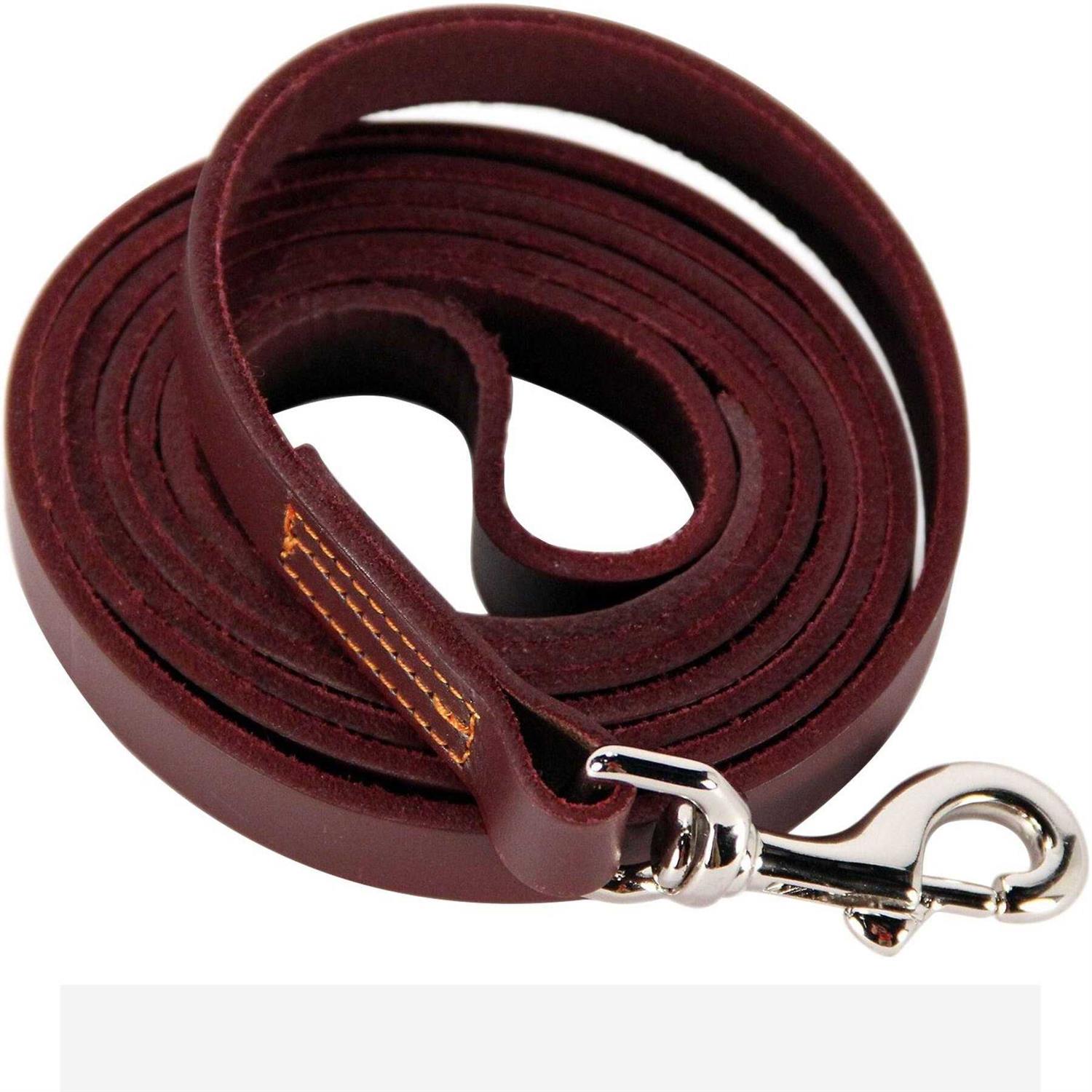 Logical Leather Dog Leash Best for Training