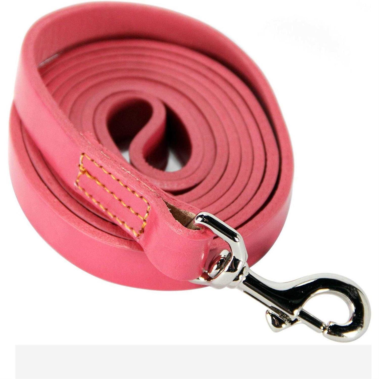 Logical Leather Dog Leash Best for Training