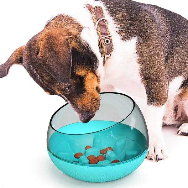 Alternative view of Frisco Comfort Padded Dog Leash
