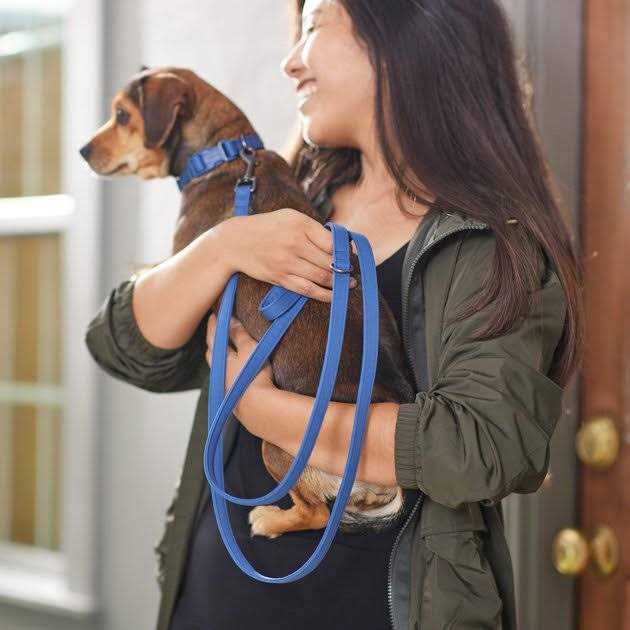 Alternative view of Frisco Comfort Padded Dog Leash