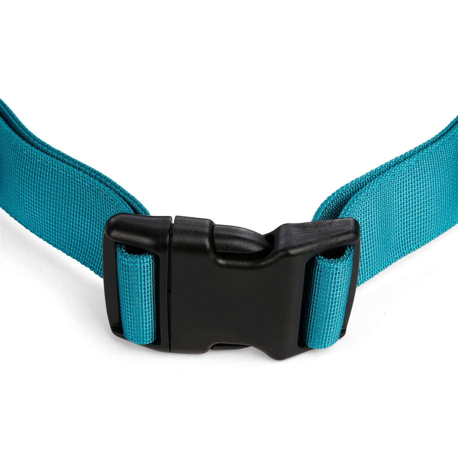 Alternative view of EveryYay Settin' the Pace Running Belt & Leash Set for Dogs