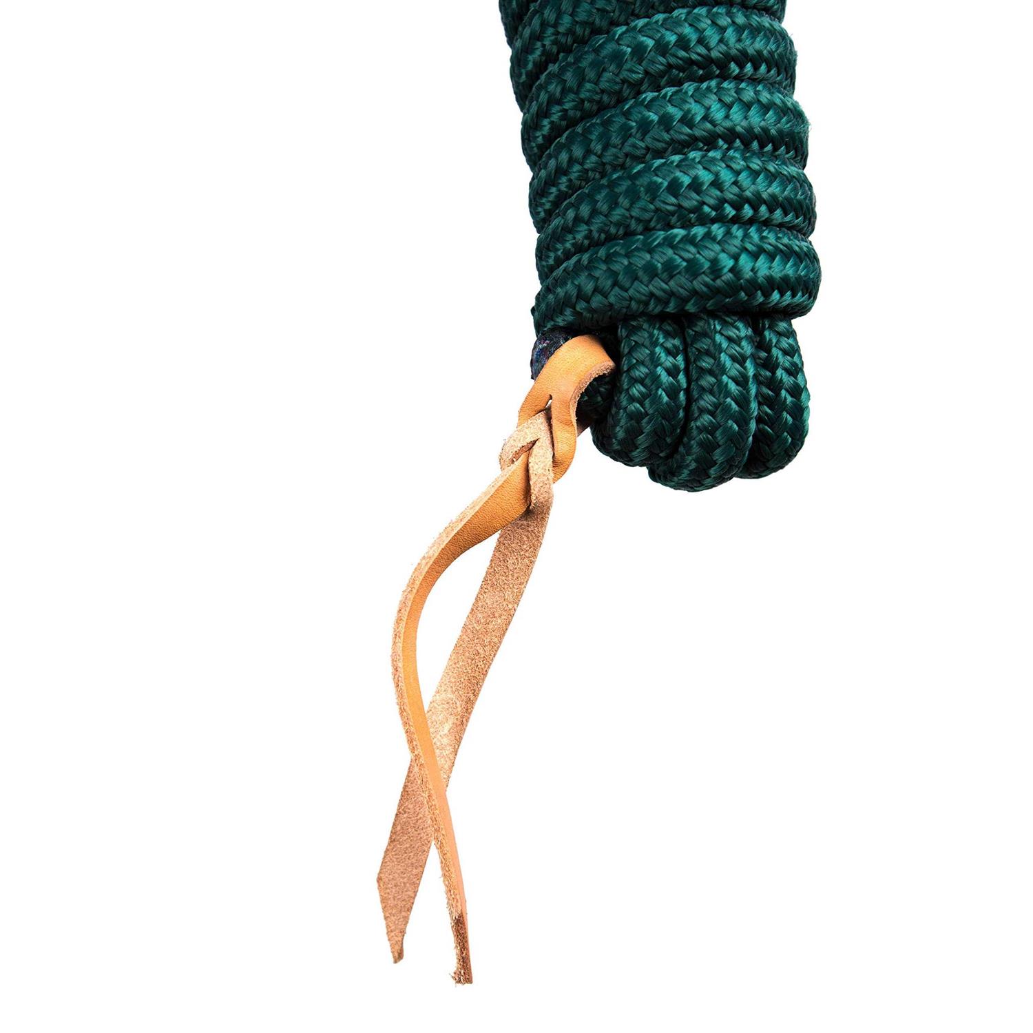 Alternative view of Kensington Clinician Training Lead