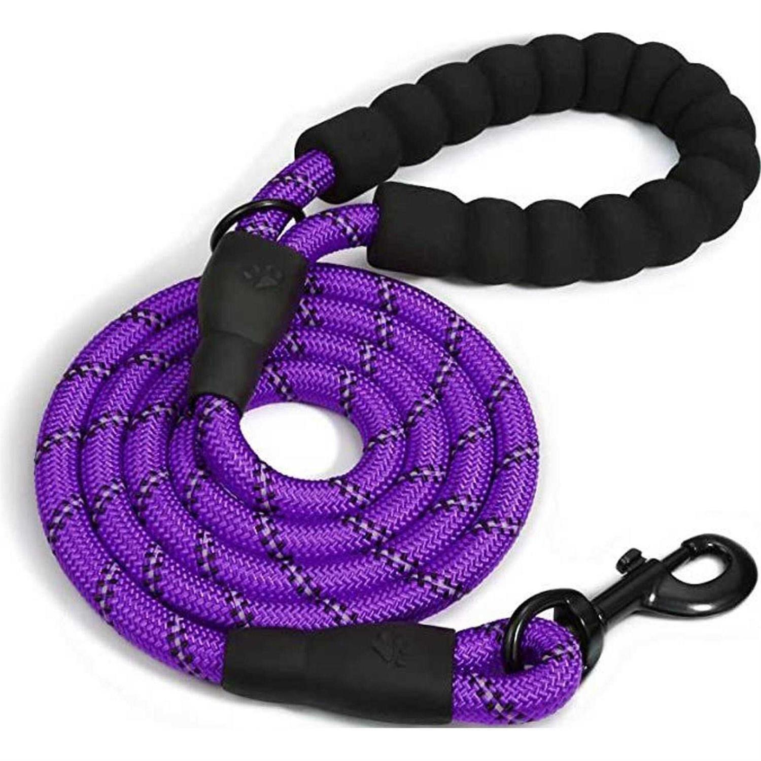 Doggy Tales Braided Dog Leash